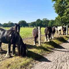 23-09-10 14-38-47 6630